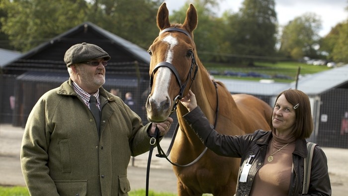 2c53f5d57b81eabc90d9bf8b9595ee771716ea59